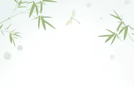 古猗园“怪”竹知多少？图片