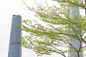 广州今明天晴昼夜温差大，后天偏南风加大阴雨又来图片