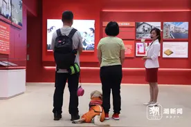 潮评丨申请要邻居100%同意？导盲犬进楼不该有门槛图片