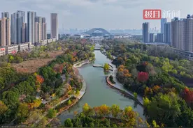 武汉国博中央水系景观公园：彩叶斑斓醉游人图片
