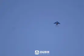 春天的浪漫，从放风筝开始图片