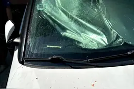 吃剩的西瓜随手往窗外一扔，肇事者因涉嫌高空抛物罪被采取刑事强制措施图片