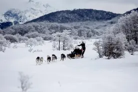 行走拉美手记丨乌斯怀亚：中国，在“世界尽头”遇见你图片