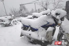 「红」运当头 | 瑞雪兆丰年，邵阳2025年的第一场雪来啦！图片