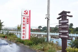打造乡村振兴齐鲁样板丨“红色文化”赋能乡村旅游新活力图片