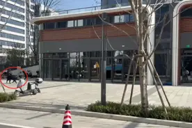 视频疯传！上海街头惊现野猪狂奔！紧急提醒图片