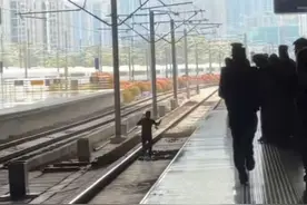杭州东站一男子闯入动车轨道狂奔致列车大面积晚点？铁路警方已介入图片