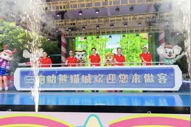 长隆三胞胎熊猫城正式迎客，暑期熊猫系列活动开启图片
