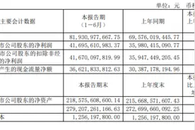 贵州茅台：上半年净利润416.96亿元，同比增长15.88%图片