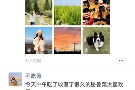 微信朋友圈能发实况照片了！网友：为啥我不行？图片
