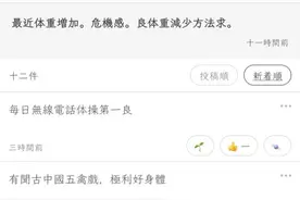 二十一世纪的汉字笔谈：“对多”上的“伪中国语”图片