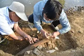 观澜亭｜跋山遗址“10万年象牙铲”的N个推测图片