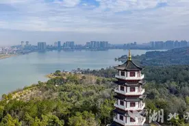 嘉鱼县牛头山森林公园：鸟语花香春意浓图片