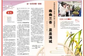 幽幽兰香 盈盈满城（一朵花读懂一座城）图片