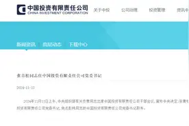 张青松任中投公司党委书记图片
