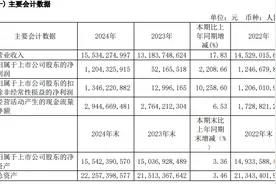 V观财报｜安迪苏2024年净利润大增超2200%图片