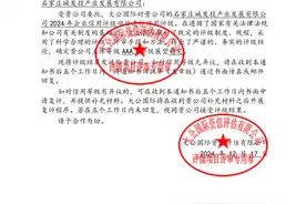 组建不到3个月，石家庄城发投产业发展公司获AAA主体信用评级图片