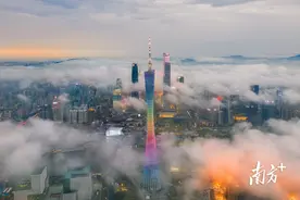 去年新增人口超44万！粤港澳大湾区“人气”为何这么旺？图片