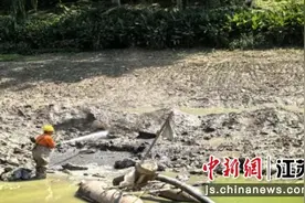 睢宁打造生态水网 城乡水环境治理提质增效图片