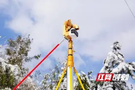 战寒潮保供电丨科技护航 机器人为配电线路“破冰减负”图片