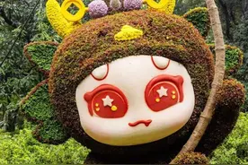 秋日顶流菊花展火热进行中，怎么去最方便？看这一条就够了图片