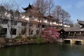 良渚文化大走廊赏梅正当时，错过再等一年图片
