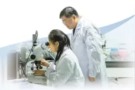 培育更多优良鲫鱼品种（讲述·弘扬科学家精神）图片