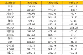 公募300亿梯队仅余14位，国金基金马芳成量化黑马｜基金放大镜图片