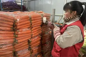 不少蔬菜水果进了垃圾桶，如何减少损耗浪费？图片
