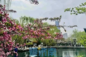 北风上线阵风6级！明起济南气温下降 五一假期后半段迎小雨图片