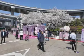 所有人，这份清明时节养生攻略请查收图片
