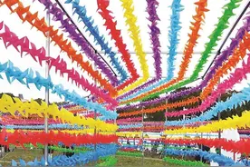 来宝山这里，赏风车落日、尝草头塌饼图片