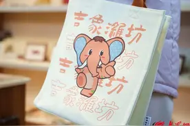 与“潍坊象”，见证更好潍坊图片