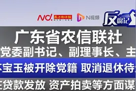 广东一原正厅级干部严重违纪违法被开除党籍图片