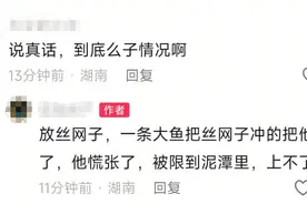 益阳一河中有大鱼把人拖下水吃掉？当地多方辟谣图片