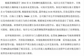 百亿毒地索赔背后：土地调查结论前后不一，苏钢股东多次变更图片