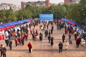 重庆潼南区：川渝联手促就业，近9000个就业岗位等你来图片