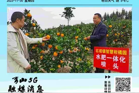 《秀山5G融媒》第34期图片