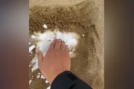 烟台下大雪，海边却没有雪？男子一挖，原来雪被沙子埋起来了
