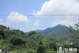 话泉蛇 添百福：蛇年将至 聊聊泉州的蛇元素图片