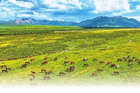 祁连山下，山丹马场好风光图片