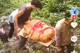 太公你在哪！翻山越岭硬核祭祖，清明是属于华南F3的“铁人三项”图片