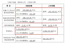 13万股民要嗨？500亿巨头业绩大爆发图片