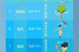 南方强对流多发局地现11至12级风 大风的威力有多猛？图片