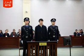 惩恶扬善！2025两高报告提到这些大案要案图片