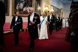 查尔斯三世设晚宴招待日本天皇！英媒：凯特王妃未露面，苏纳克没坐上主桌图片