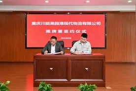 川渝携手在果园港打造西南地区最大调味品集散中心图片