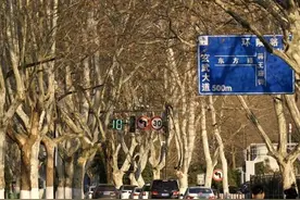江苏2025元旦最高14℃！弱冷空气将至图片