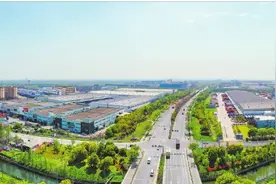 嘉兴王店镇：临空经济乘势而起图片