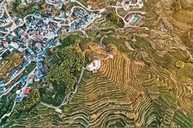 同安区白交祠村立足生态资源，走出绿色发展之路图片